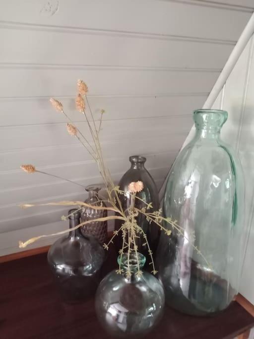 Micro Maison Isba Sedan Givonne Екстер'єр фото